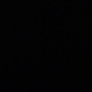 Meet your Posher, Omarious